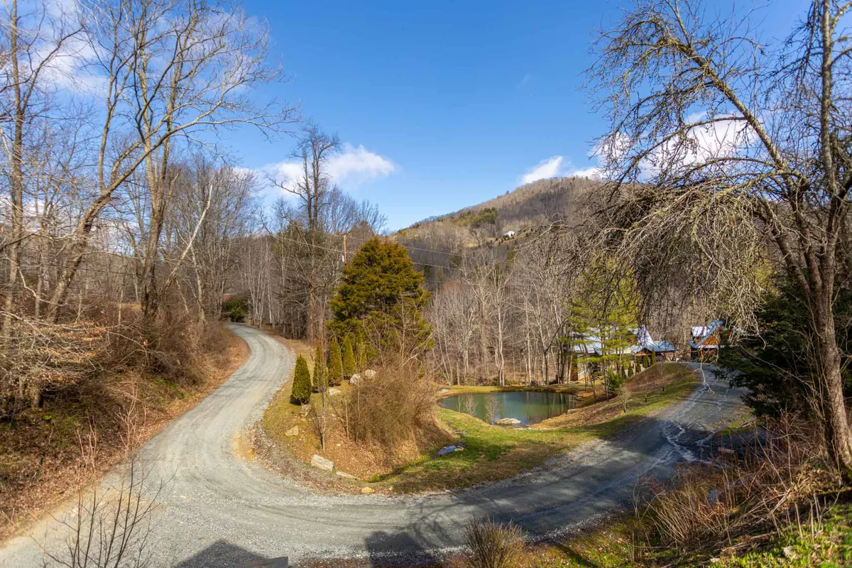 This image features a peaceful pond with a mountain backdrop, framed by surrounding trees and a gravel road. The natural setting is inviting for nature walks, bird watching, and quiet moments by the water—perfect for those seeking tranquil, scenic beauty.